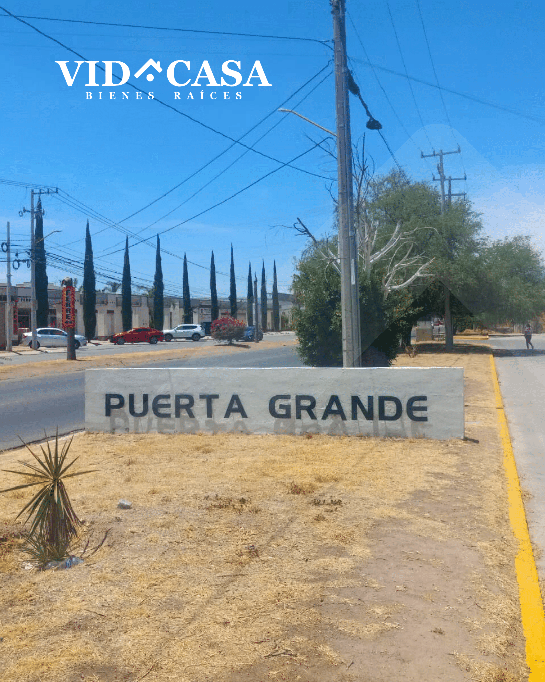 3_20250520_093237_0002