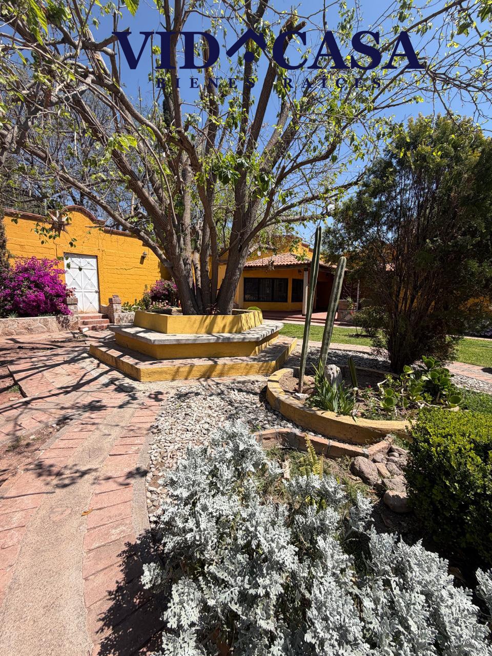 WhatsApp Image 2026-03-06 at 3.30.50 PM