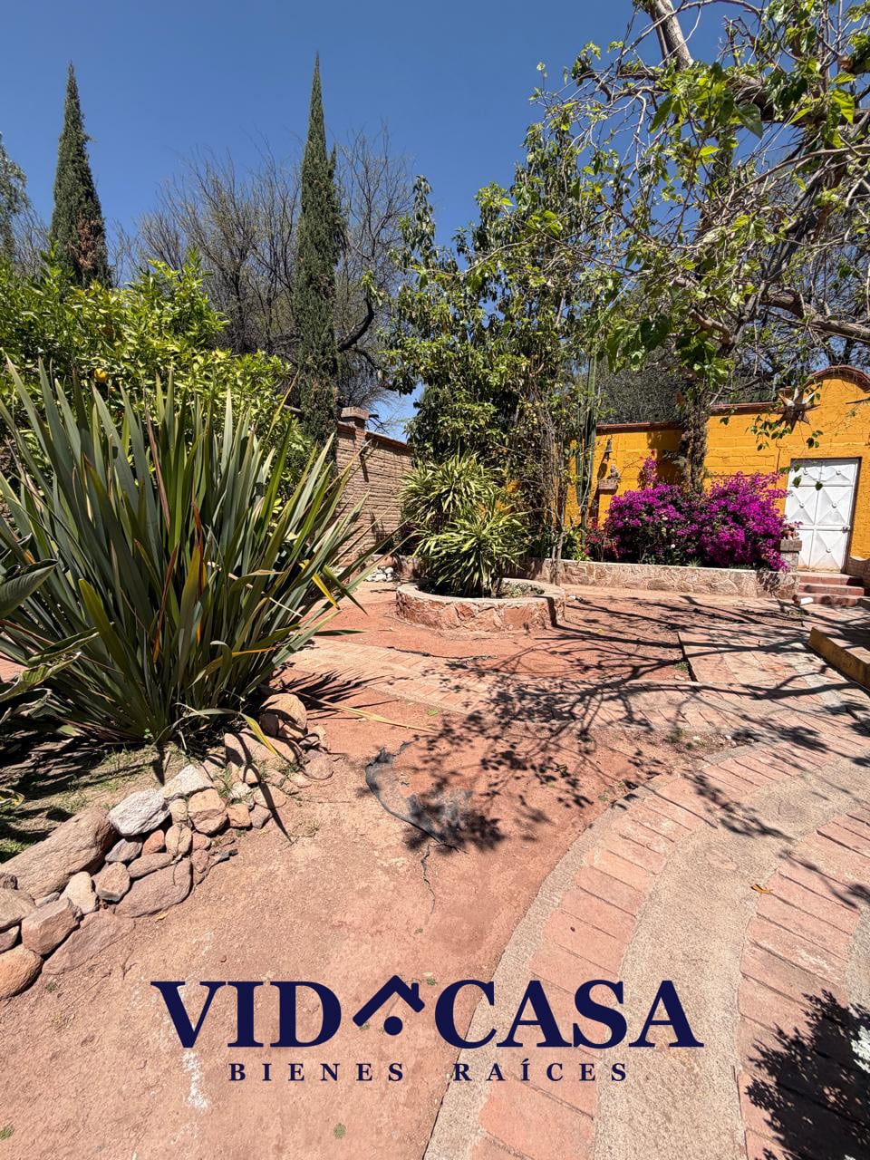 WhatsApp Image 2026-03-06 at 3.30.50 PM(1)