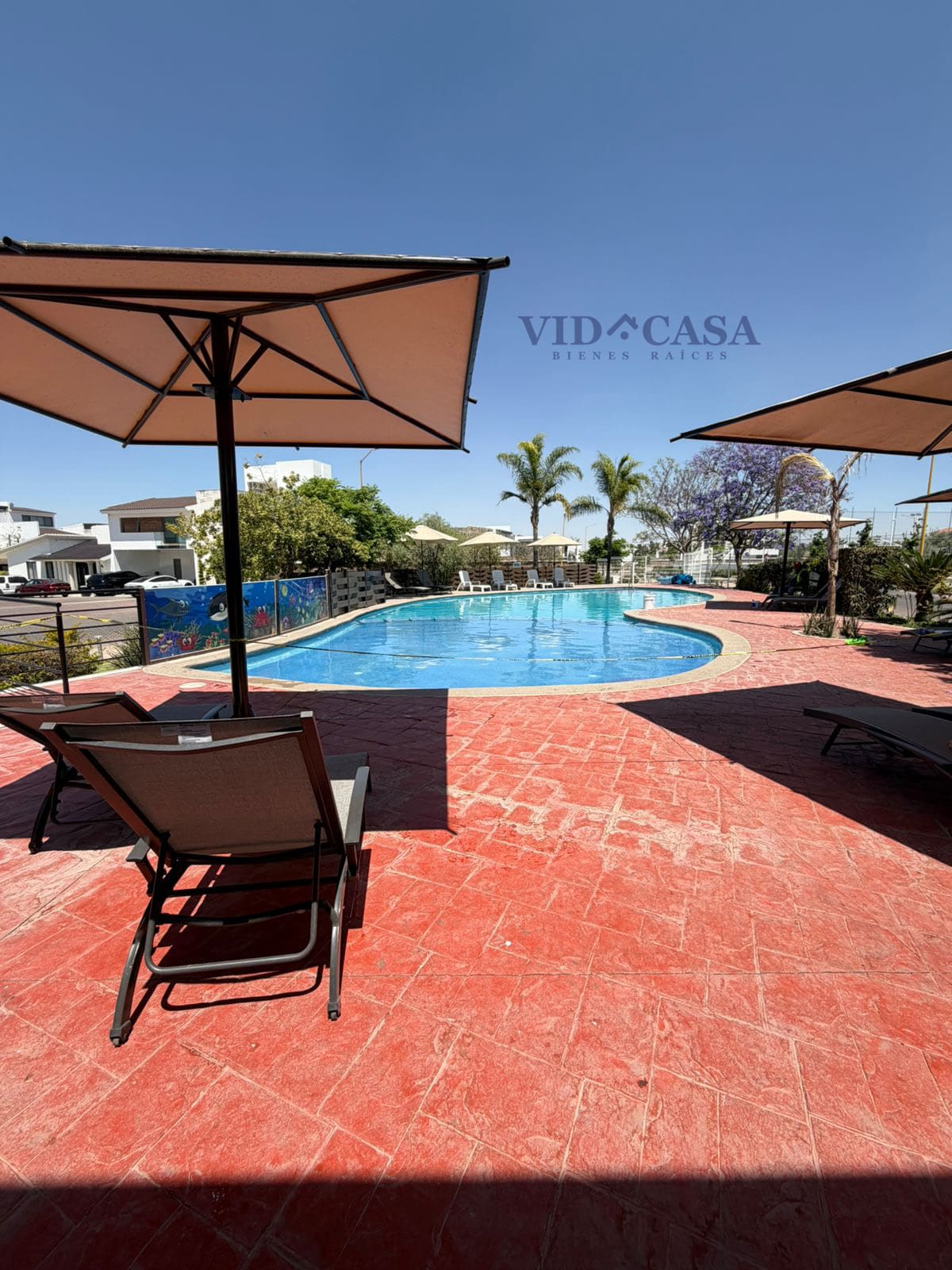 WhatsApp Image 2026-03-27 at 12.55.46 PM