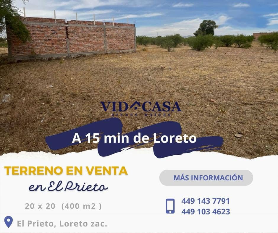 El Prieto 10×20 2 lotes (1)