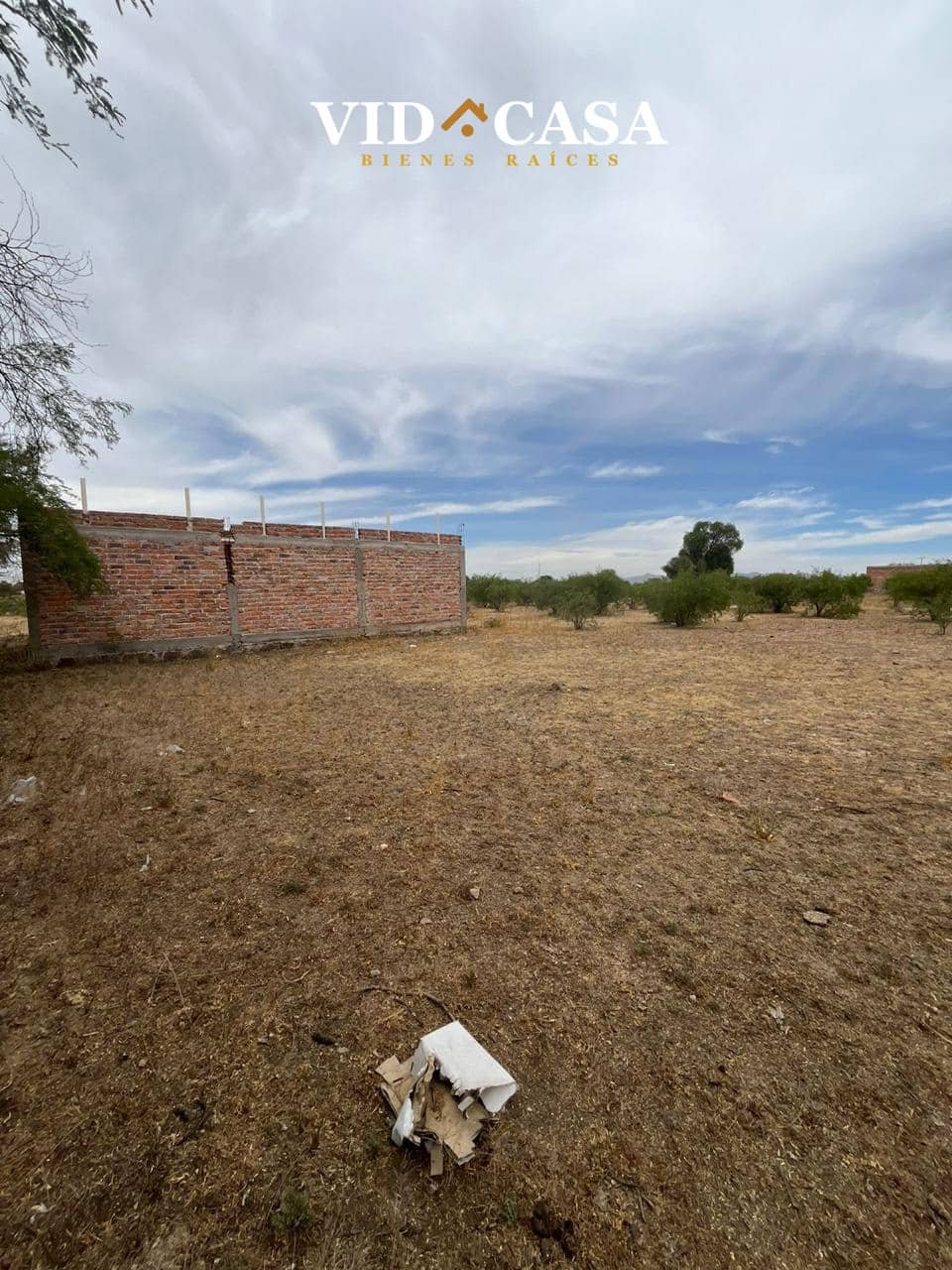 El Prieto 10×20 2 lotes (2)