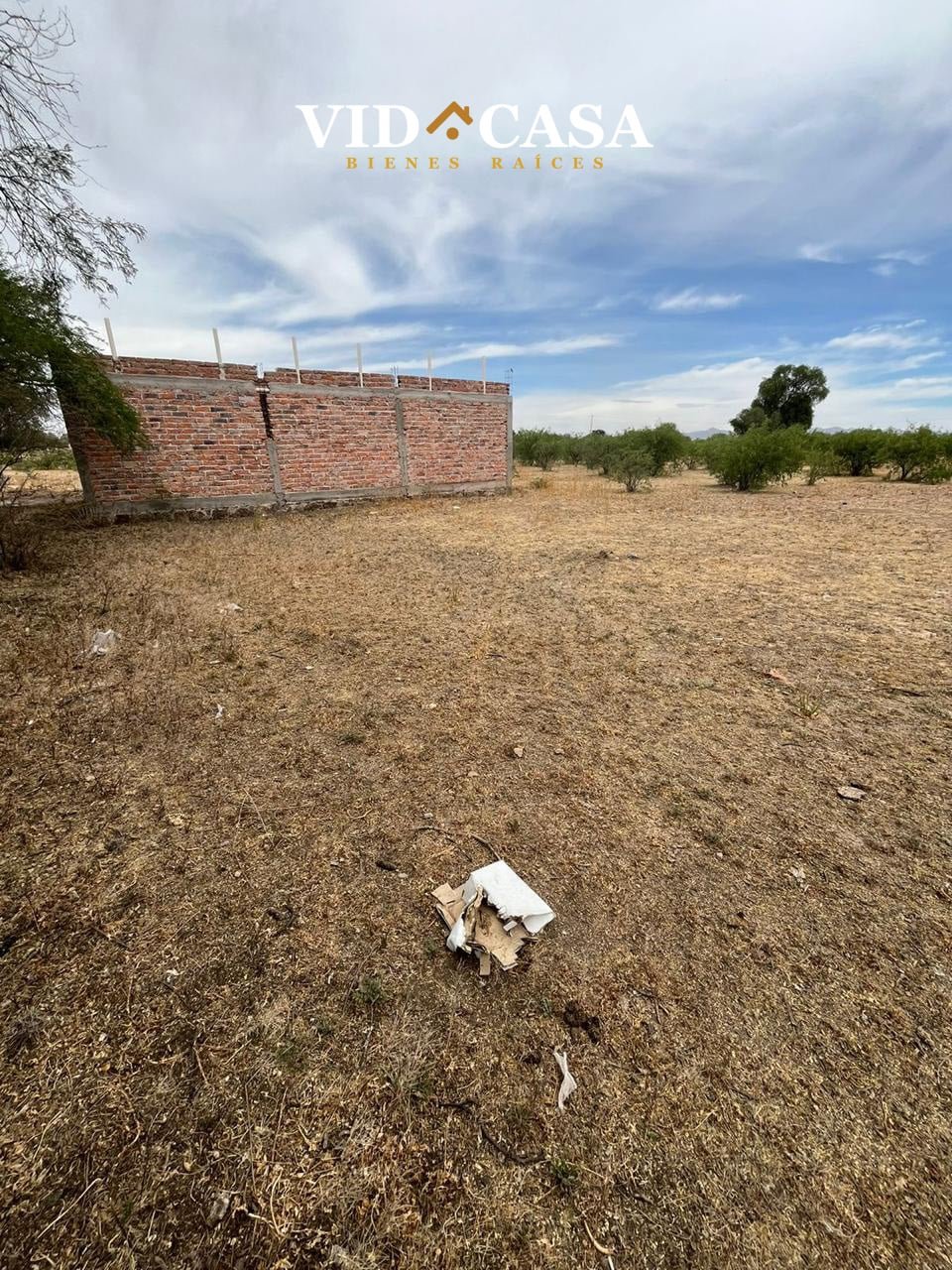 El Prieto 10×20 2 lotes (3)