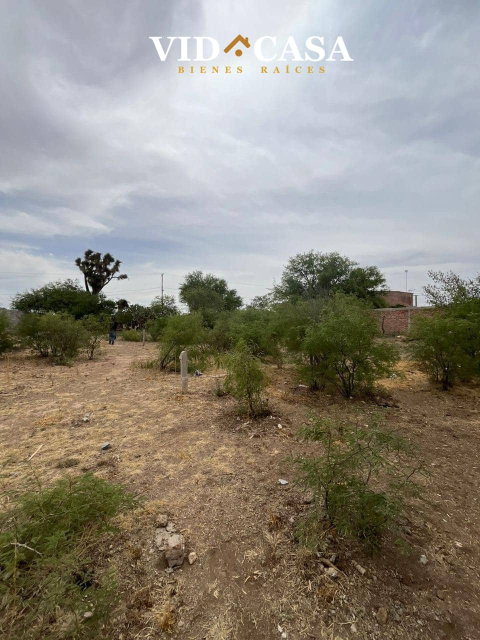 Terreno El Prierto 10×40 (2)
